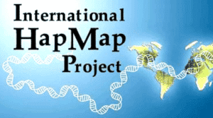 International HapMap Project