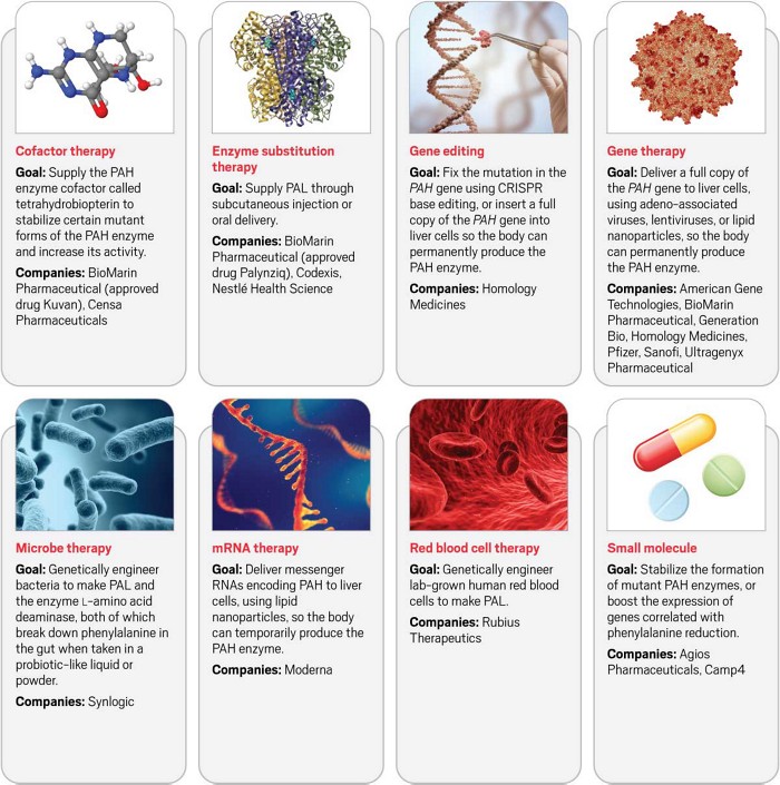 Images of a cofactor therapy, an enzyme, a virus, blood, gene editing, microbes, mRNA, and small molecules