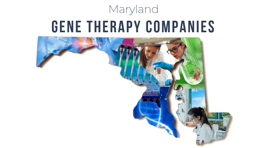 Gene Therapy Companies in Maryland