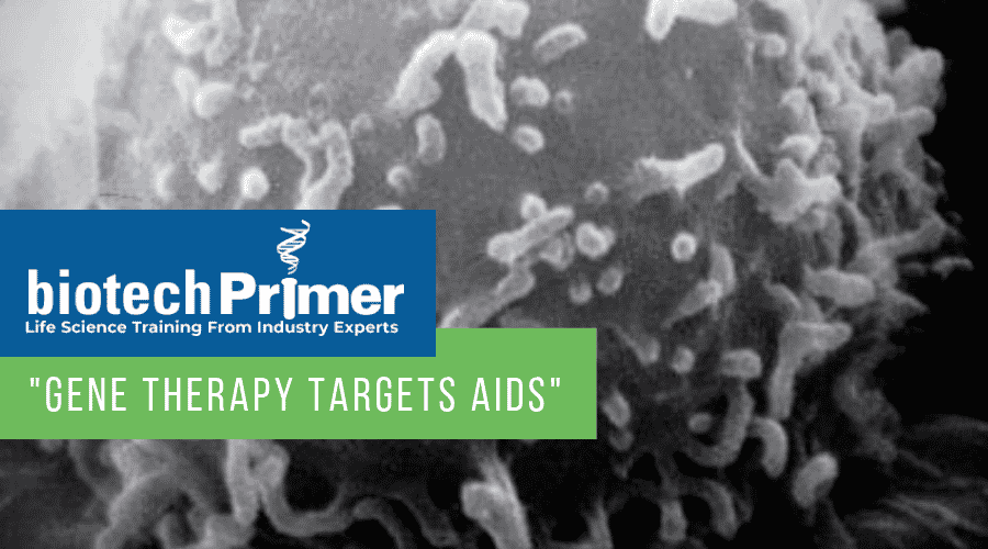 BiotechPrimer explores AGT's potential HIV cure using gene therapy