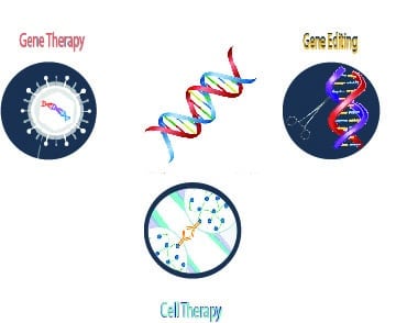 Gene therapy, gene editing, and cell therapy