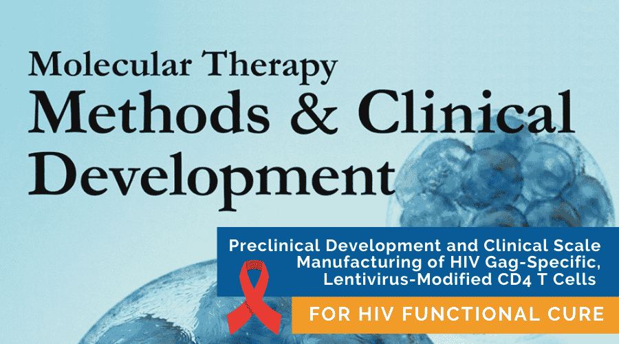 As seen in Molecular Therapy: Preclinical Development and Clinical-Scale Manufacturing of HIV Gag-Specific, Lentivirus Modified CD4 T Cells for HIV Functional Cure