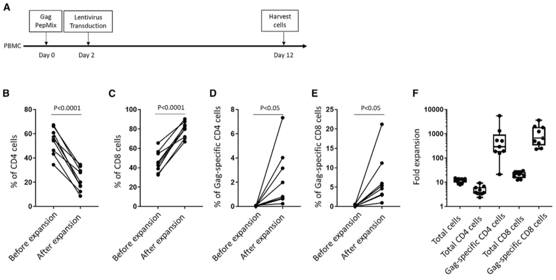 Expansion of HIV Gag-Specific CD4 T Cells by Peptide Stimulation