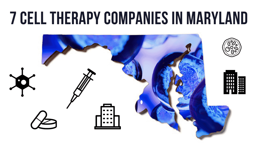 7 Cell Therapy Companies in Maryland Helping to Revolutionize Drug Discovery