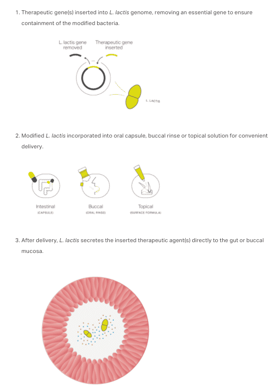 How one of Precigen's viral vectors works