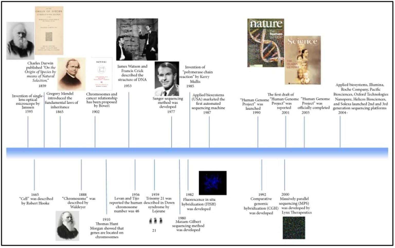 The History of Gene Therapy and How It is Advancing Rare Disease Cures