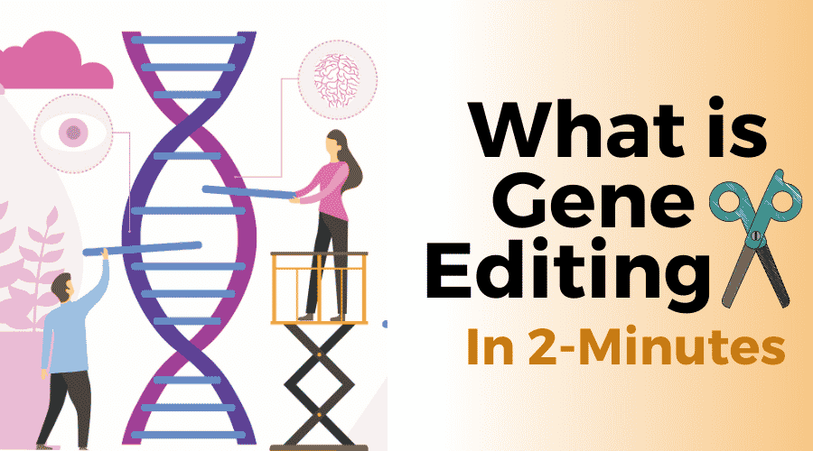 What Is Gene Editing? How It Works In 2-Minutes