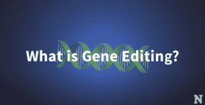 What Is Gene Editing?