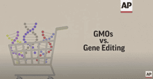 GMOs vs Gene Edited Foods