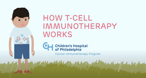 How T-cell immunotherapy works