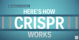 How CRISPR works in 90 seconds