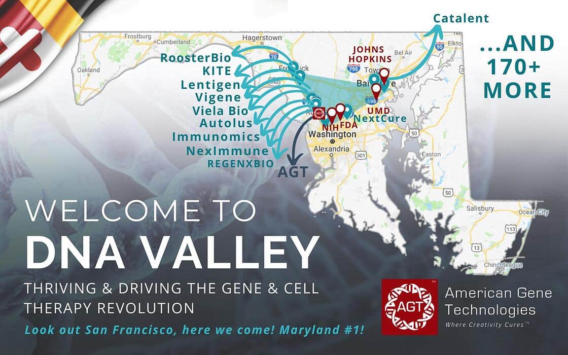 Welcome to dna Valley Welcome to dna Valley