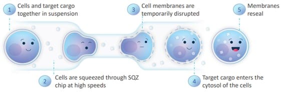 Cell squeeze technology