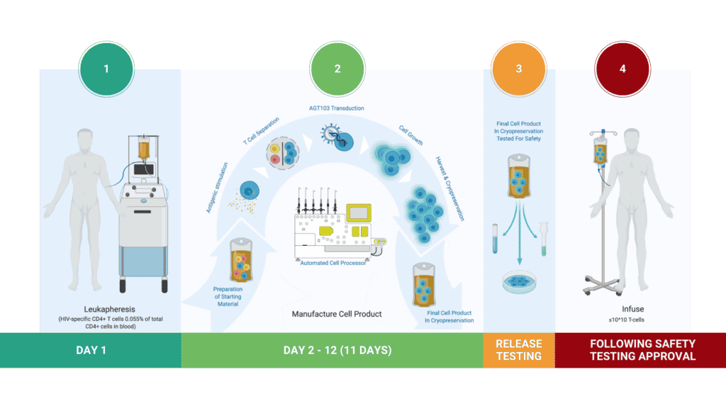 Our Approach to an HIV Cure HIV Gene Therapy American Gene Technologies