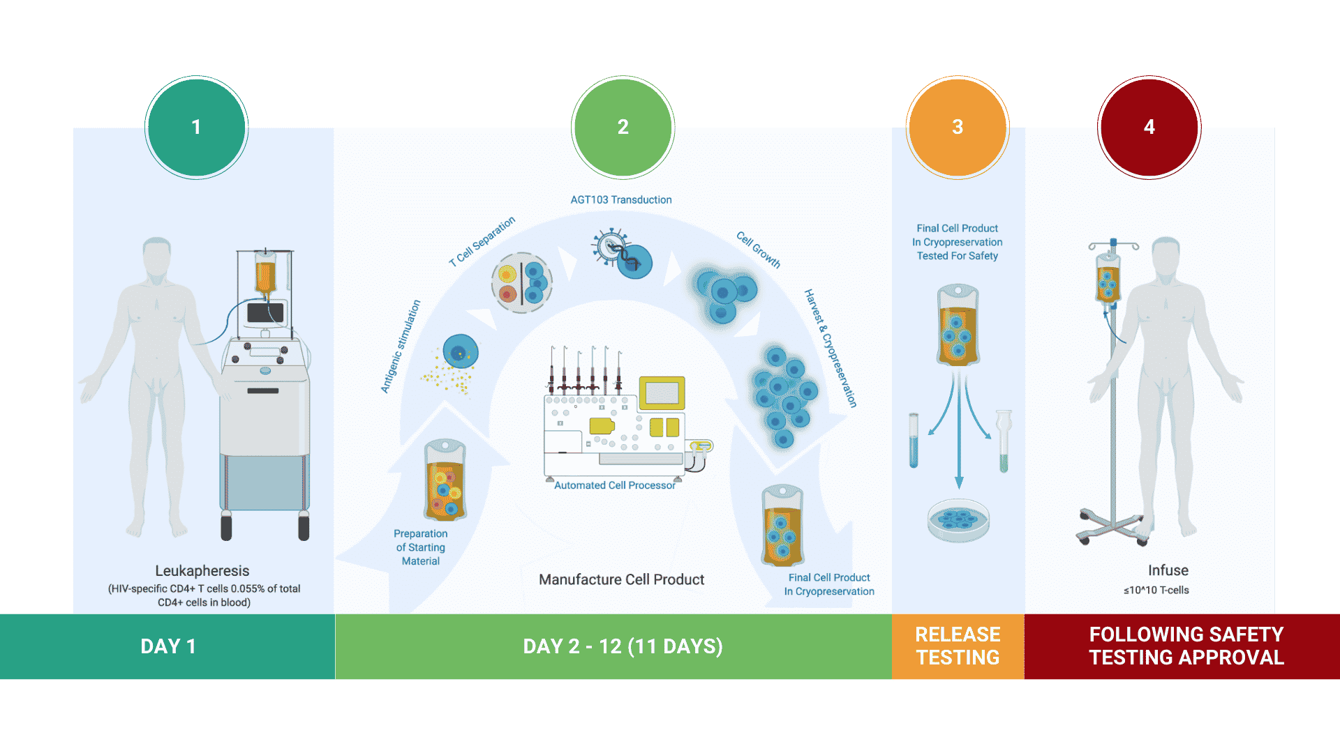 22_AGT HIV Page Cell Product Graphic 22_AGT HIV Page Cell Product Graphic
