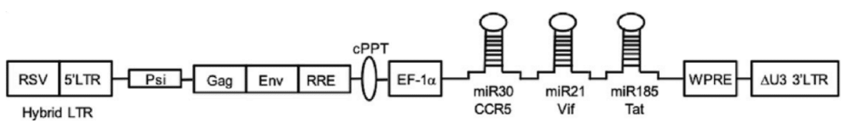 Lentivirus Vector AGT103-T