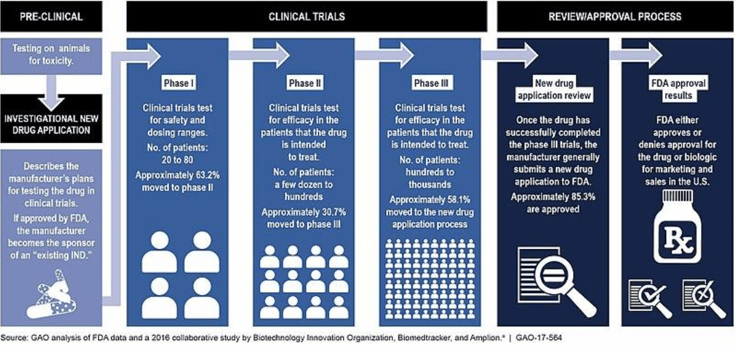 This chart shows the drug development and clinical trial process.