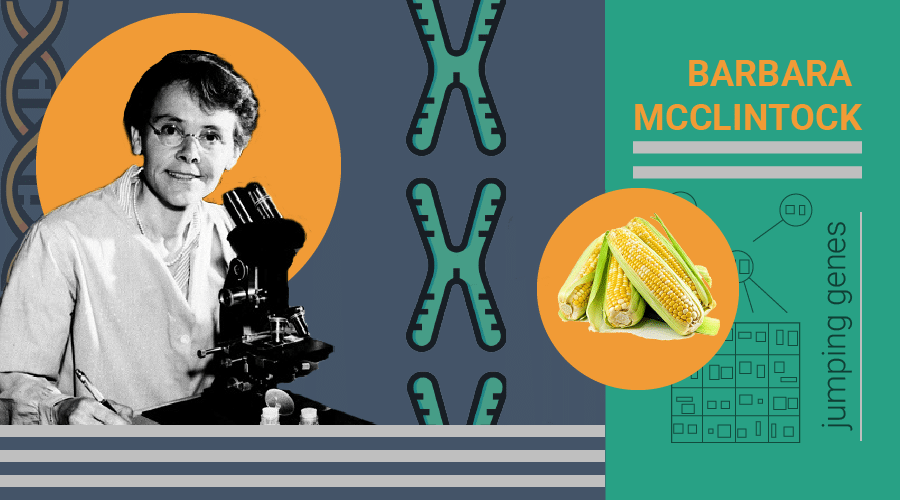 barbra_feature-01 Barbara McClintock