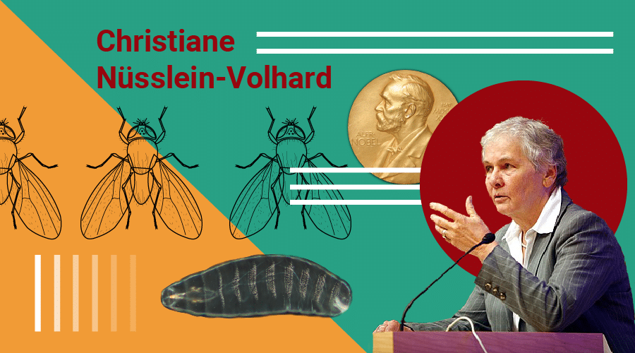 christiane-01 Christiane Nüsslein-Volhard