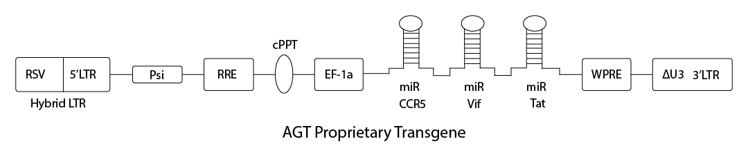 AGTProTrGene (1)