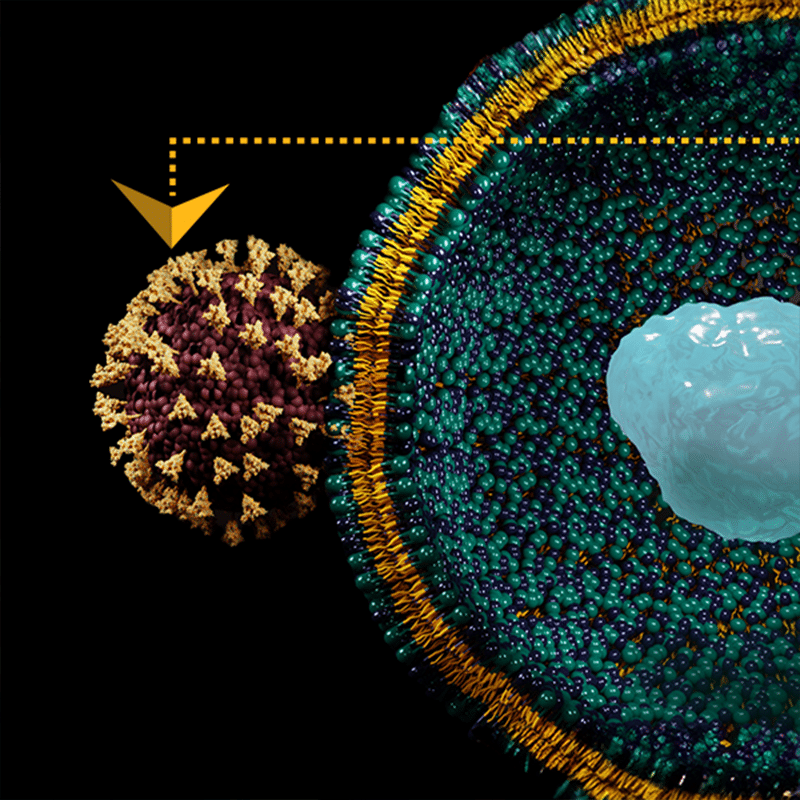 science-graphic